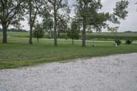 Serene Open Space in Bancroft, Iowa