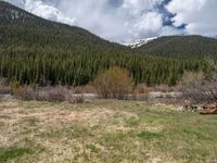 an image of a field that has snow on the mountain top in the background and a stream running through the forest