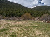 an image of a field that has snow on the mountain top in the background and a stream running through the forest