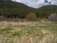 an image of a field that has snow on the mountain top in the background and a stream running through the forest