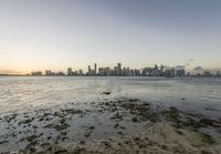 water near shore with skyline in background with tide pools and rocks on shore area,