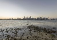 water near shore with skyline in background with tide pools and rocks on shore area,