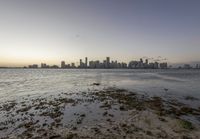 water near shore with skyline in background with tide pools and rocks on shore area,