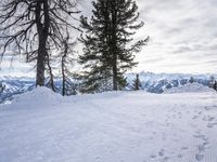 Serene Winter Landscape in the Swiss Alps