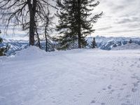Serene Winter Landscape in the Swiss Alps