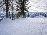 Serene Winter Landscape in the Swiss Alps