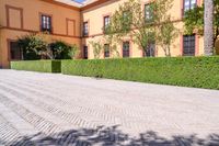 a street and fence in front of a building with yellow trims and shrubs growing all the way around them