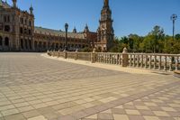 Seville's Plaza: Where Nature Meets City