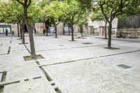 Scenic View of Seville Town Square with Historic Architecture and Tree-Lined Road
