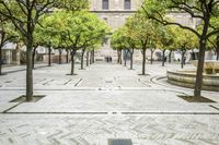 Scenic View of Seville Town Square with Historic Architecture and Tree-Lined Road