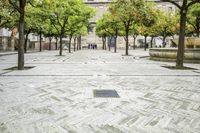 Scenic View of Seville Town Square with Historic Architecture and Tree-Lined Road
