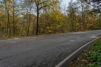 Shadow Curve Road in Ontario Forest