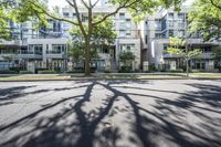 the shadow of a tree on a city street with a building in the background and many other buildings