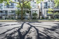 the shadow of a tree on a city street with a building in the background and many other buildings