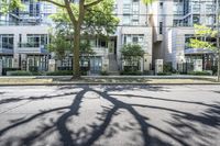 the shadow of a tree on a city street with a building in the background and many other buildings