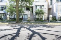 the shadow of a tree on a city street with a building in the background and many other buildings