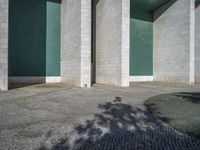 the shadow on the pavement shows the wall and tree next to it in the middle of the building