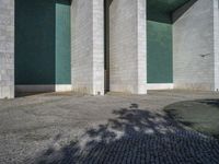 the shadow on the pavement shows the wall and tree next to it in the middle of the building