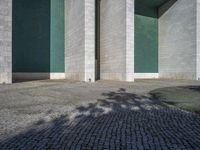 the shadow on the pavement shows the wall and tree next to it in the middle of the building