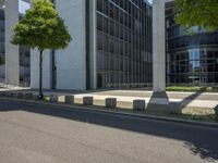 the shadow of a person is projected on some concrete posts near a tree and building