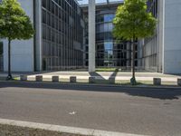 the shadow of a person is projected on some concrete posts near a tree and building