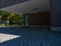 Shadow Play on Berlin's Cobblestones