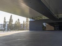 a shadow of someone walking around an empty building in a park with a skateboard