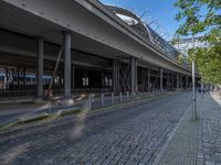 Shadowed Cobblestone Roads of Berlin