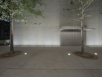 an empty room in the building is decorated with three trees with four spots that are hidden behind the door