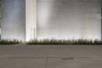 a parking meter in front of a building with concrete walls and plants in between them