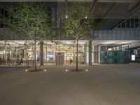 people sitting under large trees at an office building at night time, with their work area visible