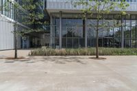 a building with glass and trees in front of it to shade the window panes