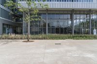 a building with glass and trees in front of it to shade the window panes