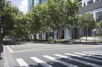 an empty city street next to buildings with trees around it, with two people crossing the cross walk