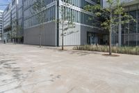 a city sidewalk next to a building with many windows and plants on either side of it