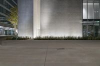 a cement wall that has some plants on it and lights around the perimeter and buildings