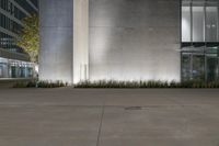 a cement wall that has some plants on it and lights around the perimeter and buildings