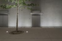 a tree inside of a concrete building with stairs and vents in the floor below them