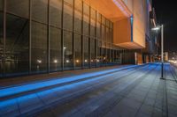 Shanghai Night Cityscape with Neon Lights 003