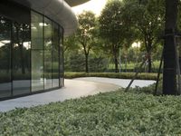 a tree in an outside of some plants and bushes is shown near the entrance to a building