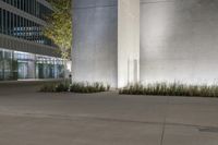 an empty courtyard of some kind at night with tall, concrete walls and greenery