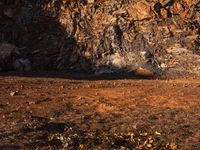 an elephant walking across a dirt field near rocky cliff side animals are grazing on the ground