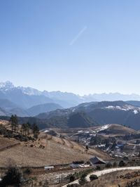 horse graze on dry grass in the mountains with snowy peaks in the background with snowcapped trees