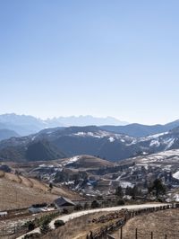 horse graze on dry grass in the mountains with snowy peaks in the background with snowcapped trees