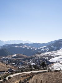 horse graze on dry grass in the mountains with snowy peaks in the background with snowcapped trees