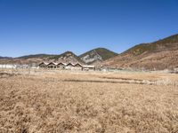 Winter Landscape in Shangri-La: Snow-Capped Mountains