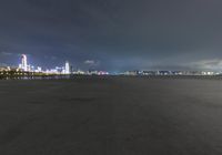 an airplane sitting in a large field by the water at night with a cityscape in the distance