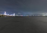 an airplane sitting in a large field by the water at night with a cityscape in the distance