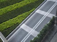 Top Down View of Modern Architecture and Infrastructures in Shenzhen, China