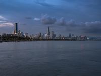 Shenzhen Cityscape: Coastal Skyline Overlooking the Sea